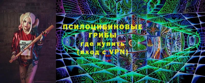 купить  сайты  Ухта  Галлюциногенные грибы Magic Shrooms 